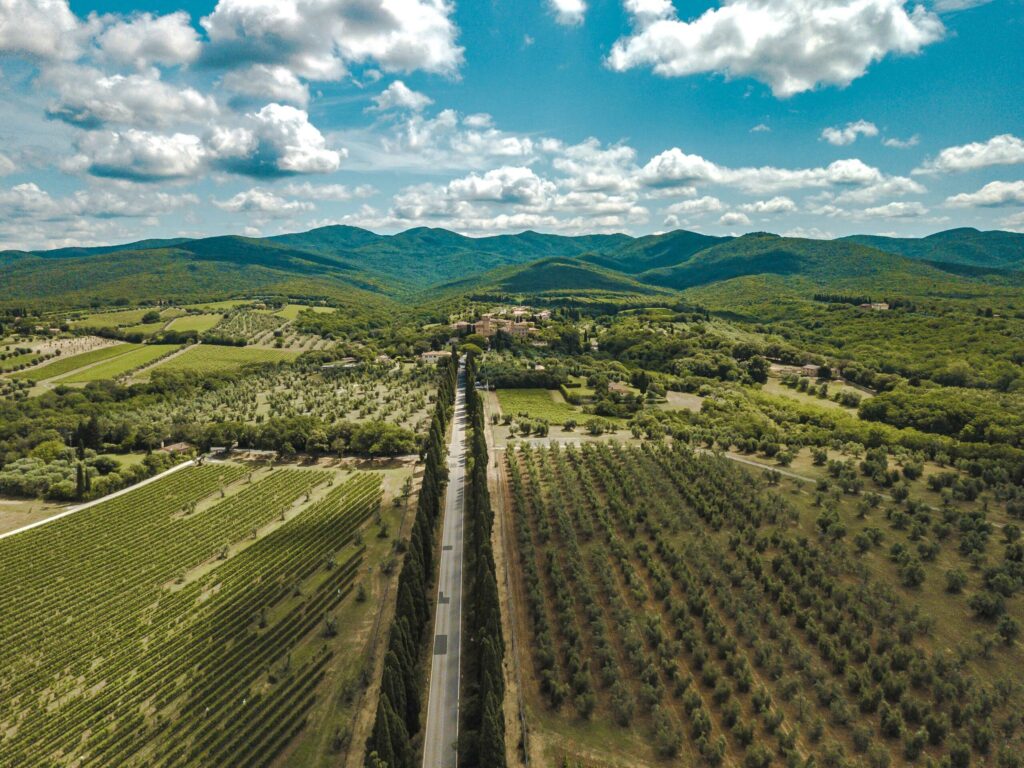Bolgheri dall'alto, Viale dei Cipressi