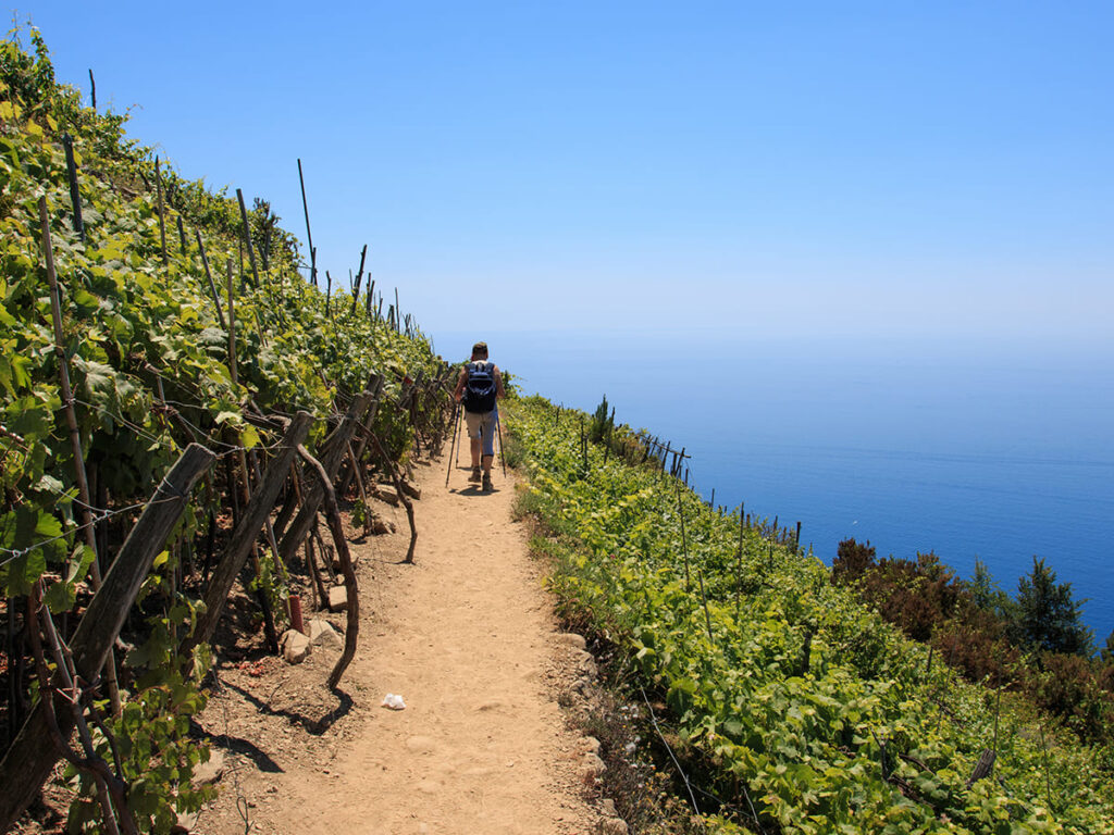 ITS__0007_escursione tra i vigneti delle cinque terre, tra Coniglia e Manarola
