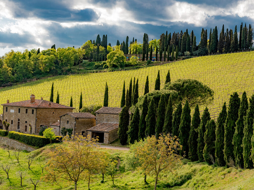 ITS__0003_panorama of green chianti hills
