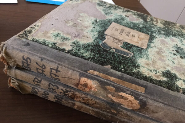 ITS_Genealogy-Research-Trip_Antique-Registry-Volumes_1