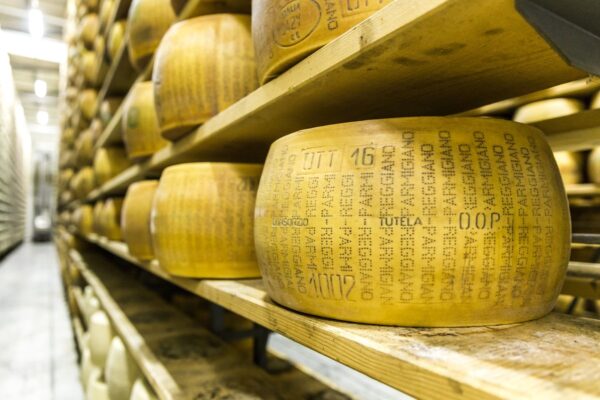 Parmigiano Cheese Factory With The Aging Cheese — Culinary tour of Italy by Italy Travel Specialist