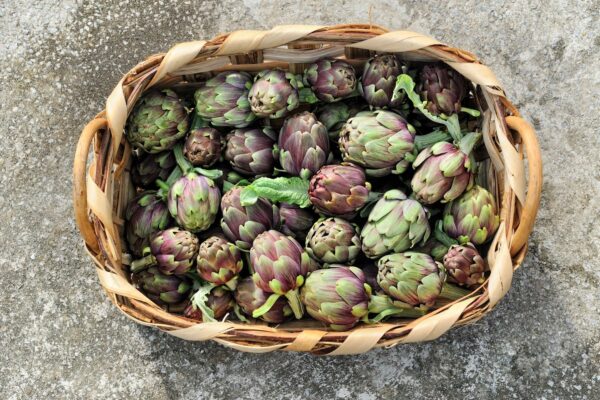 Roman Artichokes — Central Italy journey by Italy Travel Specialist