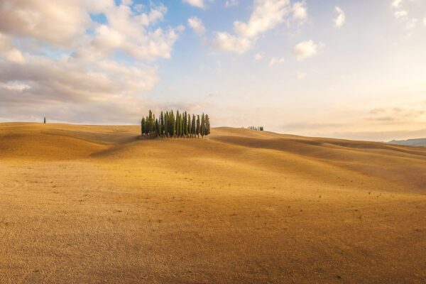 its-italy-in-a-glass-37-val-dorcia-cypress-autumn