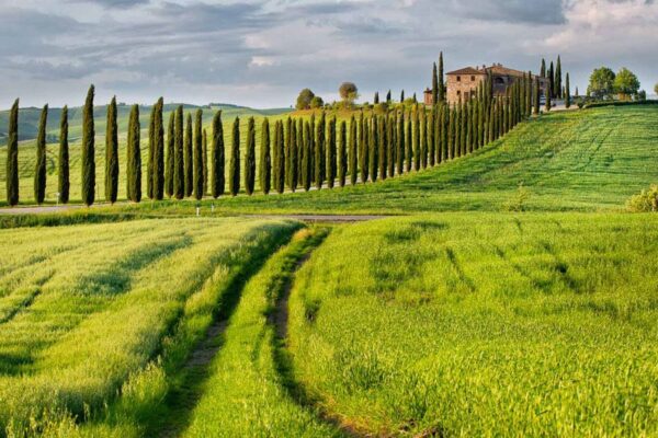 its-italy-in-a-glass-43-val-dorcia-cypress-road