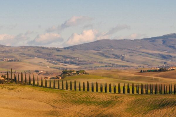 its-italy-in-a-glass-44-val-dorcia-cypress-path