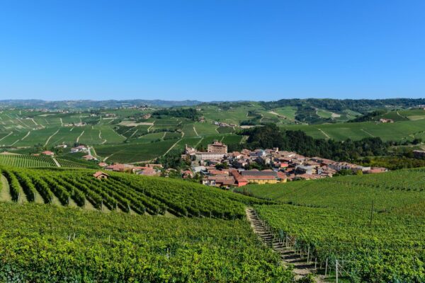 Il Paese Di Barolo Tra I Vigneti Delle Langhe — Langhe and Sardinia tour by Italy Travel Specialist