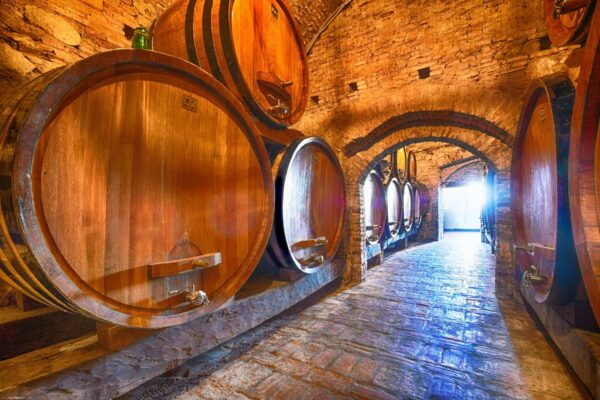 Winery Cellar With Special Edition Wine Aging In Barrels — Langhe and Sardinia tour by Italy Travel Specialist