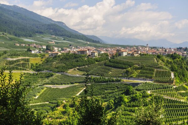 Val Di Non And Apple Fields Trento — Northern Italy luxury tour by Italy Travel Specialist