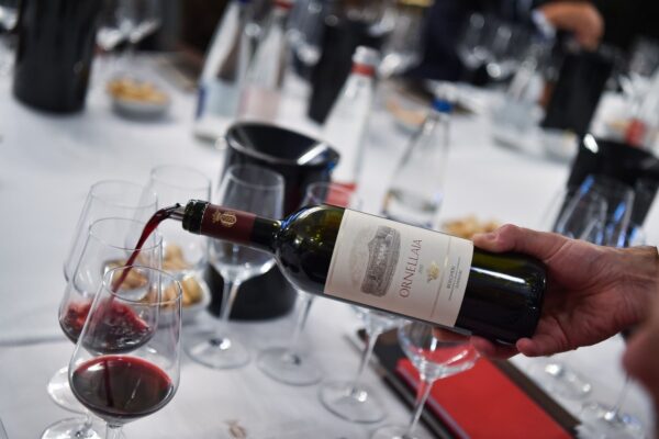 Vertical Tasting Of Ornellaia Super Tuscan Red Wine In — Romantic Italy honeymoon by Italy Travel Specialist