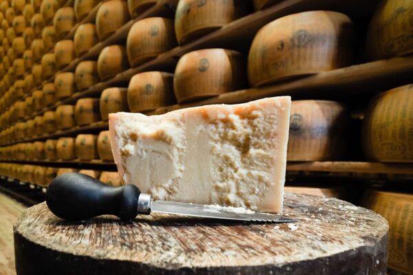 Its 0004 Parma Feb 2021 Parmesan Cheese Wheel At Farm — Best of Italy tour by Italy Travel Specialist