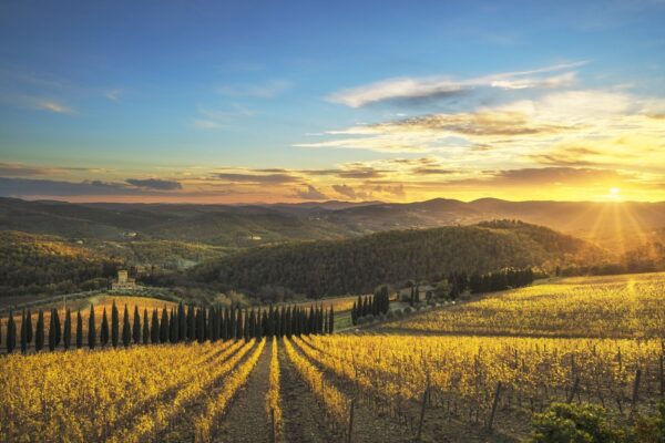Radda In Chianti Vineyard And Panorama At Sunset Tuscany — Best of Italy tour by Italy Travel Specialist