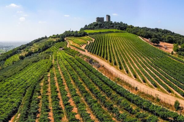 Verona Hills And Vineyards — Best of Italy tour by Italy Travel Specialist
